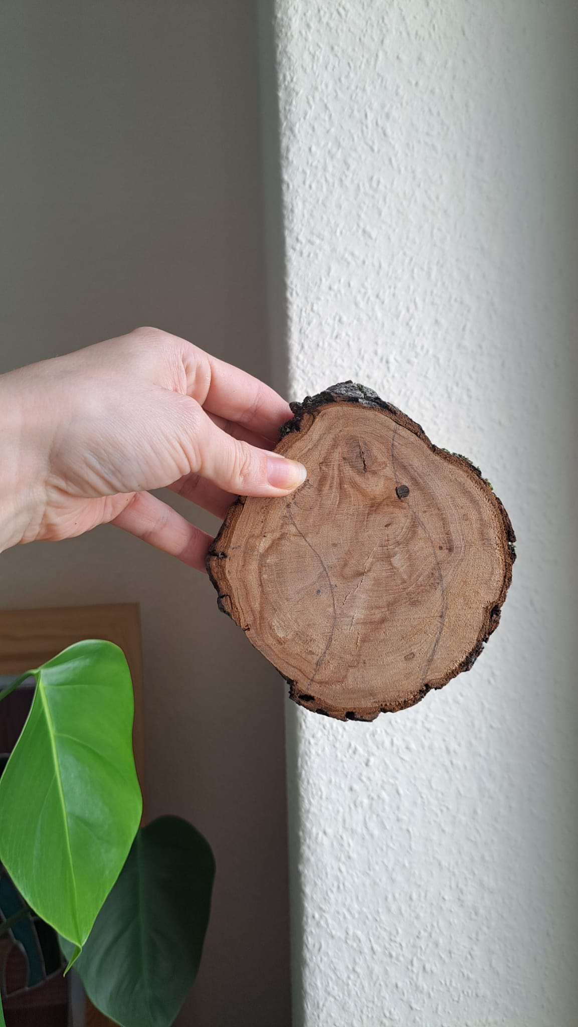 Star Coaster | Reclaimed Wood & Glass Mosaic